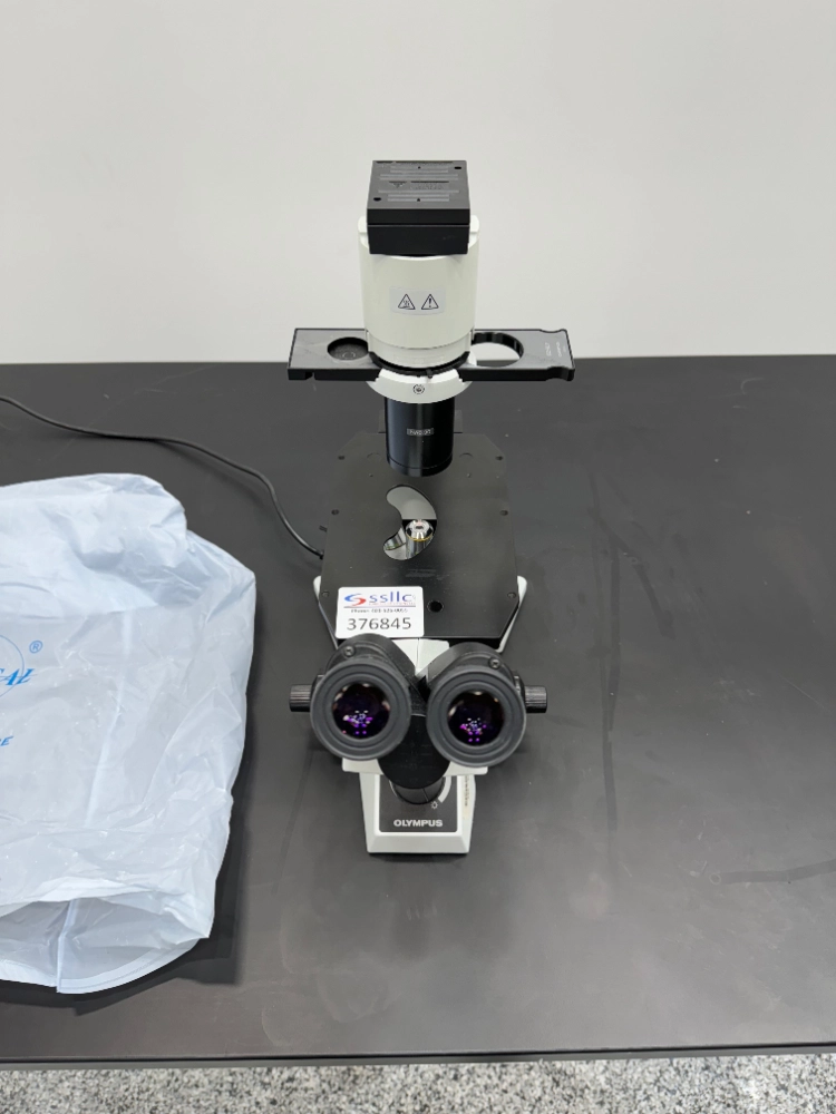 Olympus CKX31SF Inverted Microscope