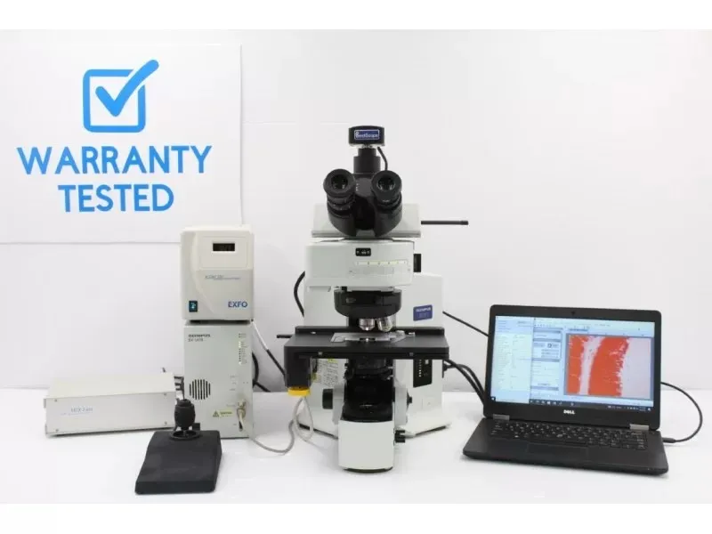 Olympus BX61 Upright Fluorescence Metal Halide Motorized XY Microscope (New Filters) Pred BX63