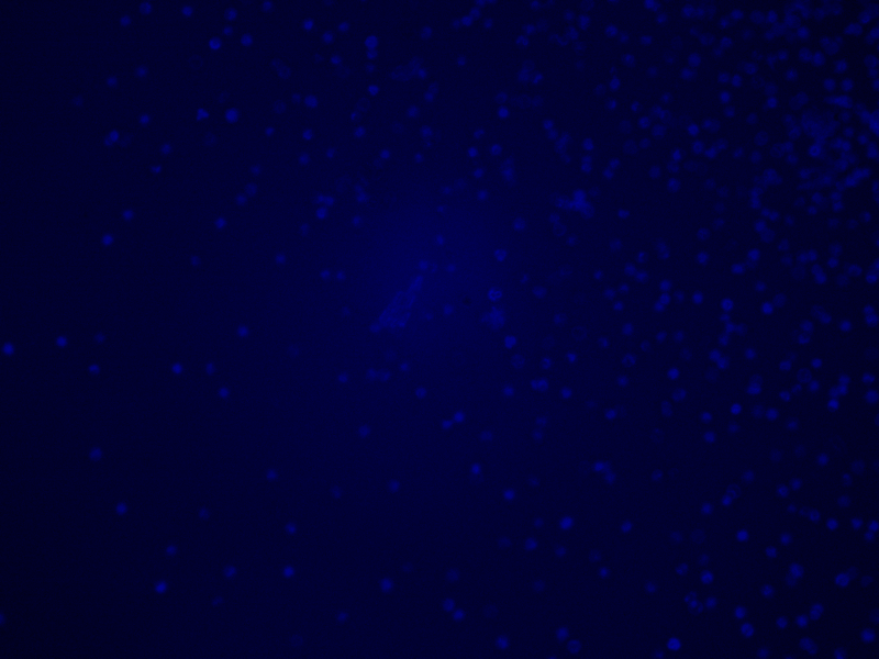 Thumbnail 15