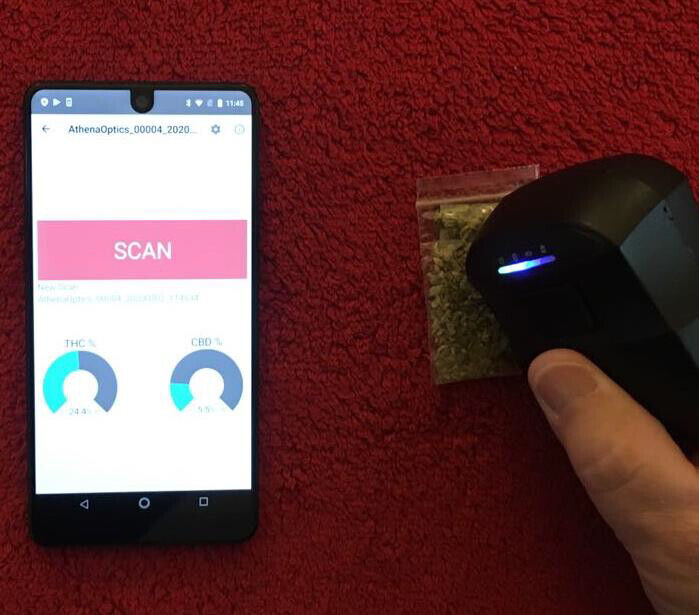 Smart Handheld NIR Analyzer for Fast THC and Cannabidiol Testing on the Spot