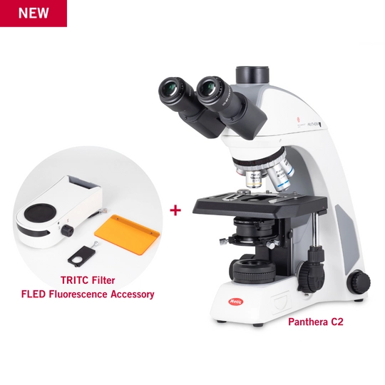 Motic PANTHERA C2 with TRITC Filter Fluorescence Bundle Microscope
