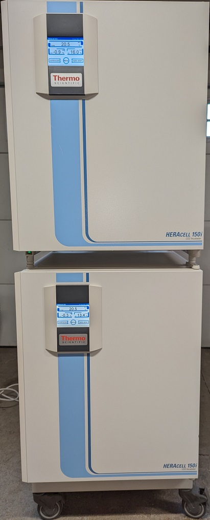 Incubators - ThermoFisher Heracell 150i