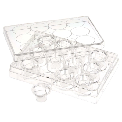 Celltreat Permeable Cell Culture Inserts, Packed in 12 Well Plate, PC, 0.1&micro;m, Sterile 24/Cs 230614