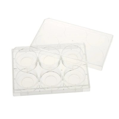 Celltreat 6 Well Tissue Culture Plate with Lid, 20mm Glass Bottom, Individual, Sterile 5/Cs 229107