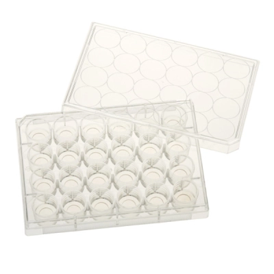 Celltreat 24 Well Tissue Culture Plate with Lid, 10mm Glass Bottom, Individual, Sterile 5/Cs 229125