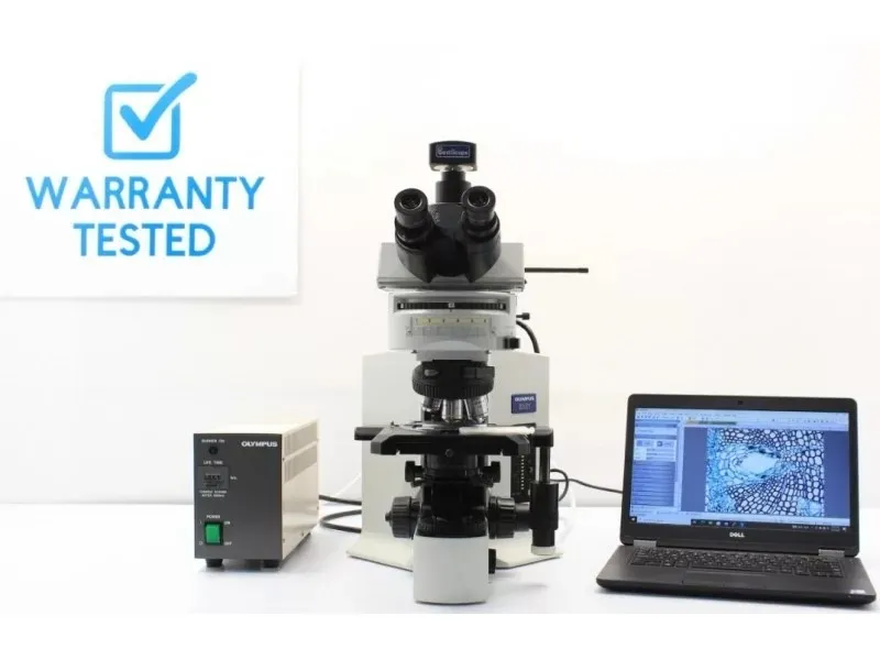 Olympus BX51 Upright Fluorescence Phase Contrast Mechanical Microscope (New Filters) Pred/BX53