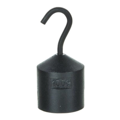 Eisco Hooked Iron Weight, 100g - with Bottom Slot - Powder Coated Steel - Labs HKW100