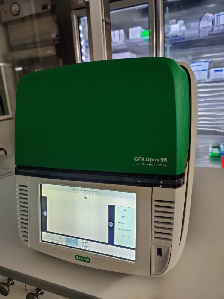 Bio-Rad CFX Opus 96 Real-Time PCR System