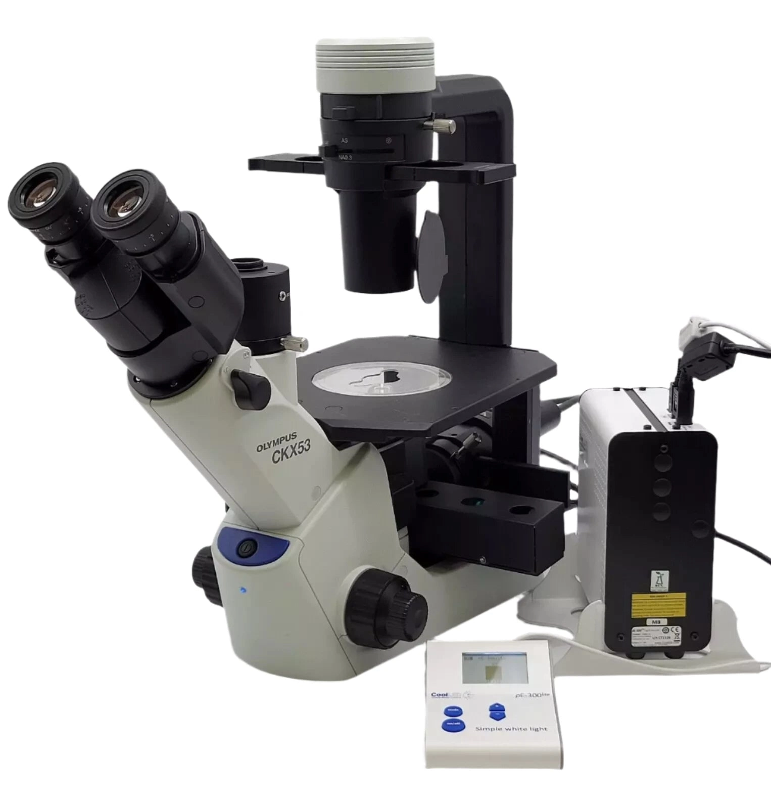Olympus Microscope CKX53 with Phase Contrast and CoolLED Fluorescence