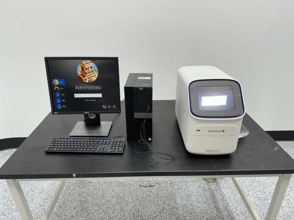 Applied Biosystems QuantStudio 5 Real-Time PCR System