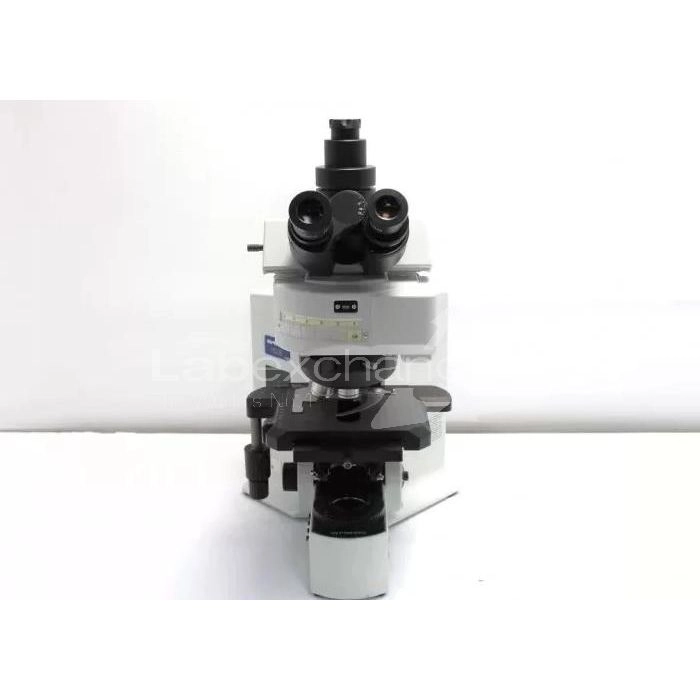 Olympus BX61 Fluorescence Motorized Microscope (Ne