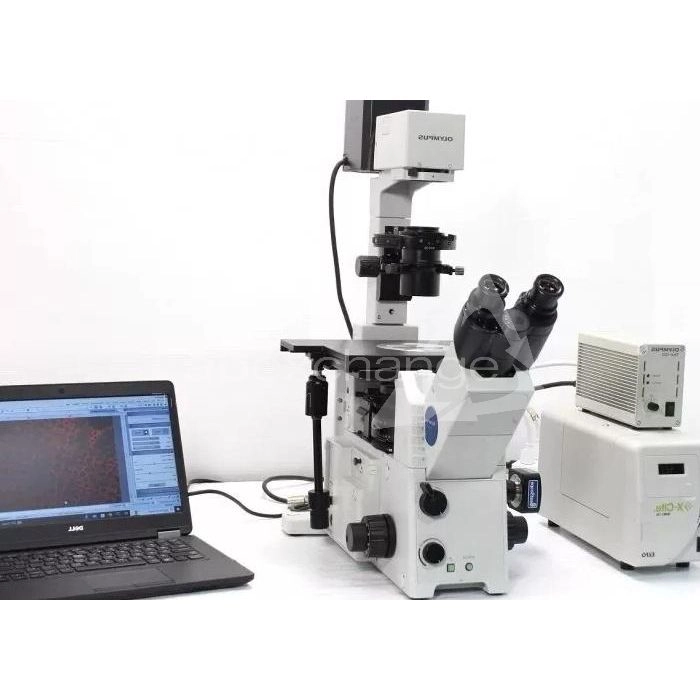 Olympus IX71 Inverted Fluorescence Microscope (New