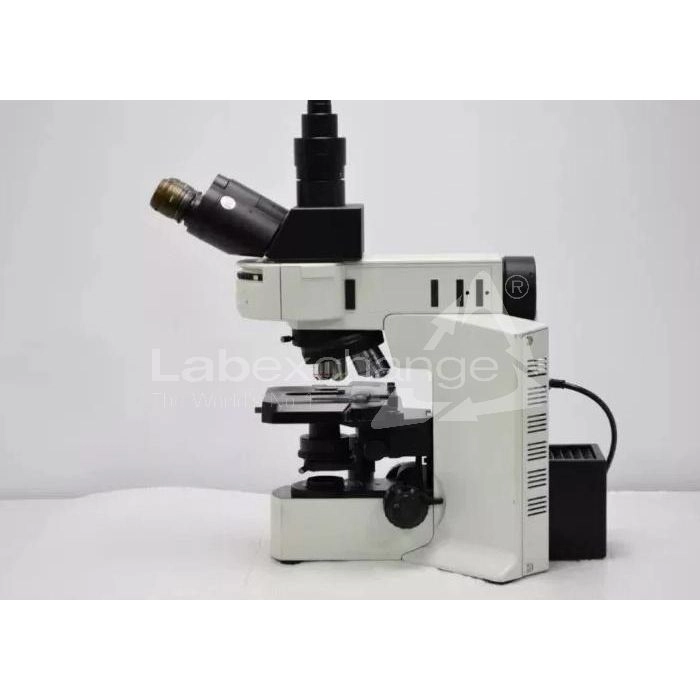 Olympus BX51 Fluorescence Mechanical Microscope