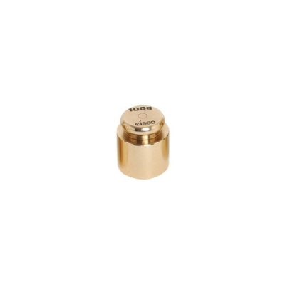 Eisco 100g Balance Weight Spare - Brass - Labs PHBWSBR7