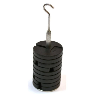 Eisco Labs Set of 9 20g Weights On Hanger - For Physics Experiments PHZNW200SET