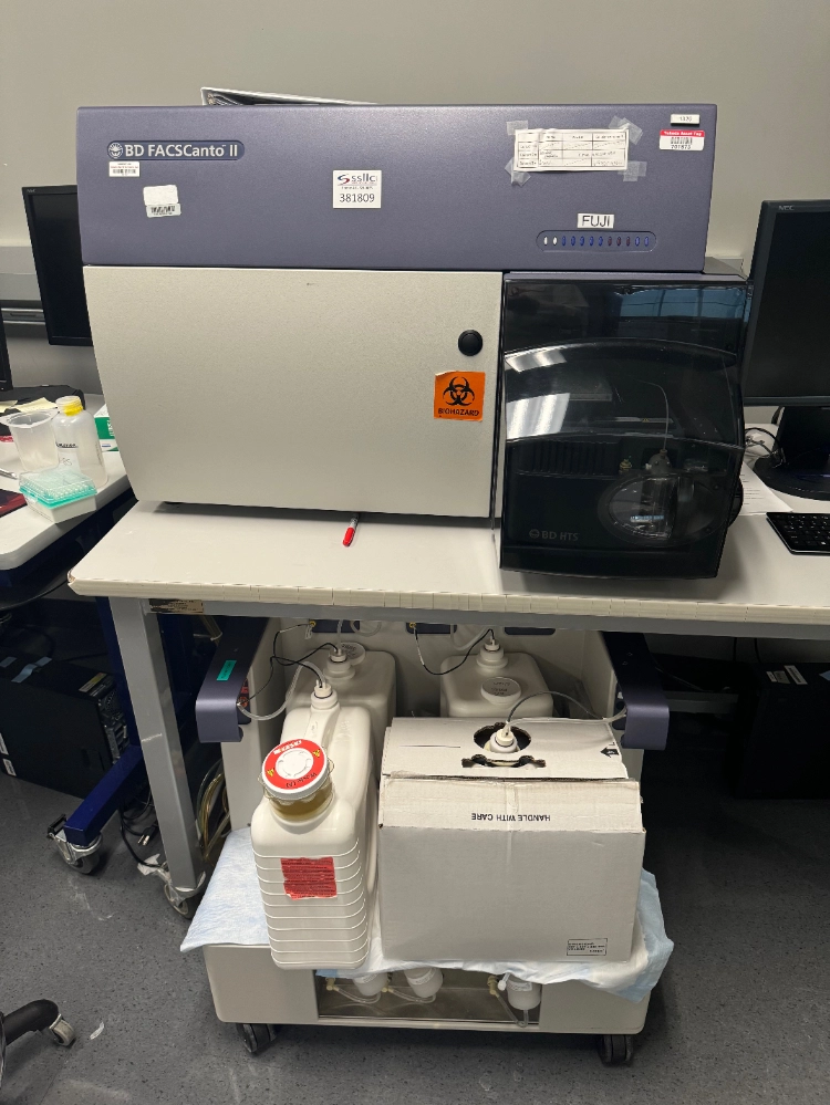 BD FACSCanto II Flow Cytometer