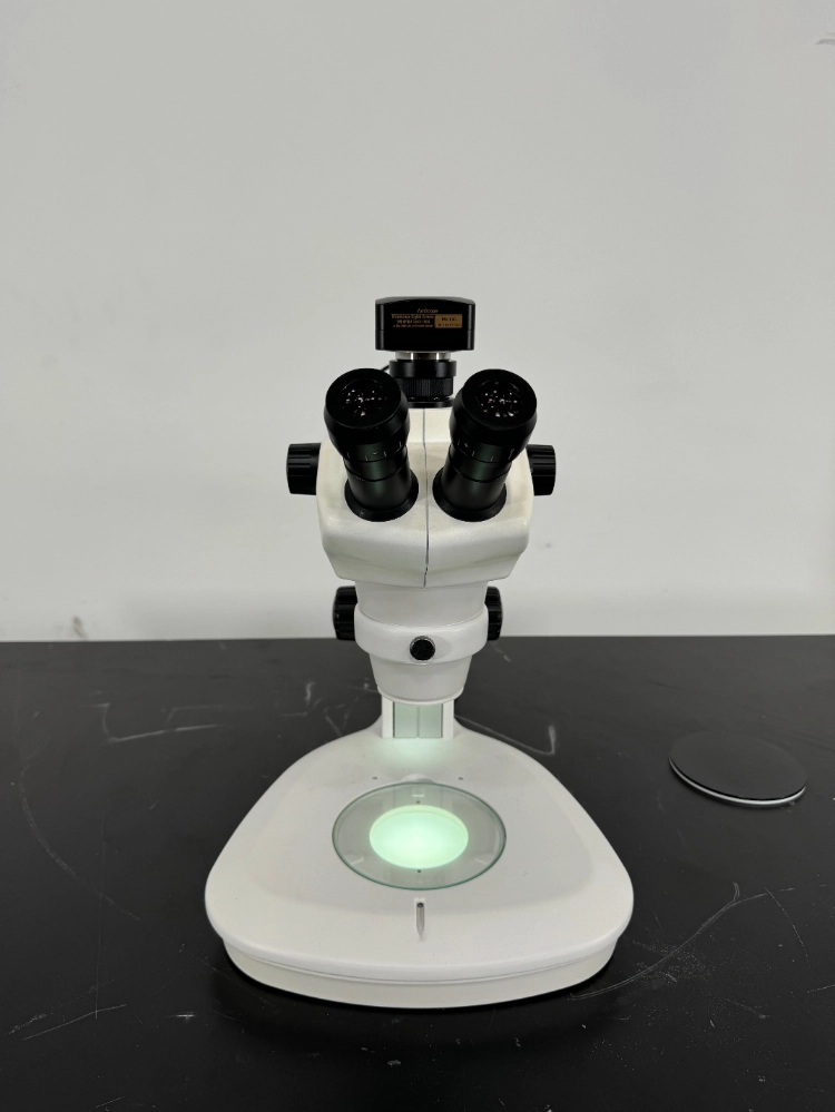 AmScope Stereo Microscope