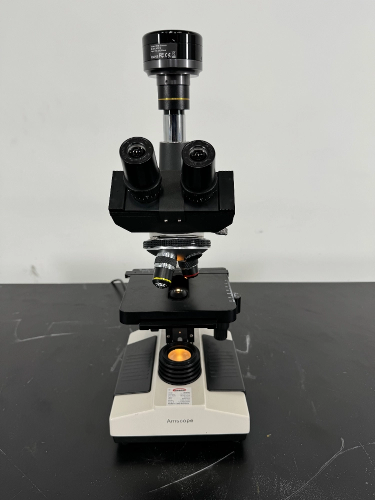 AmScope Microscope