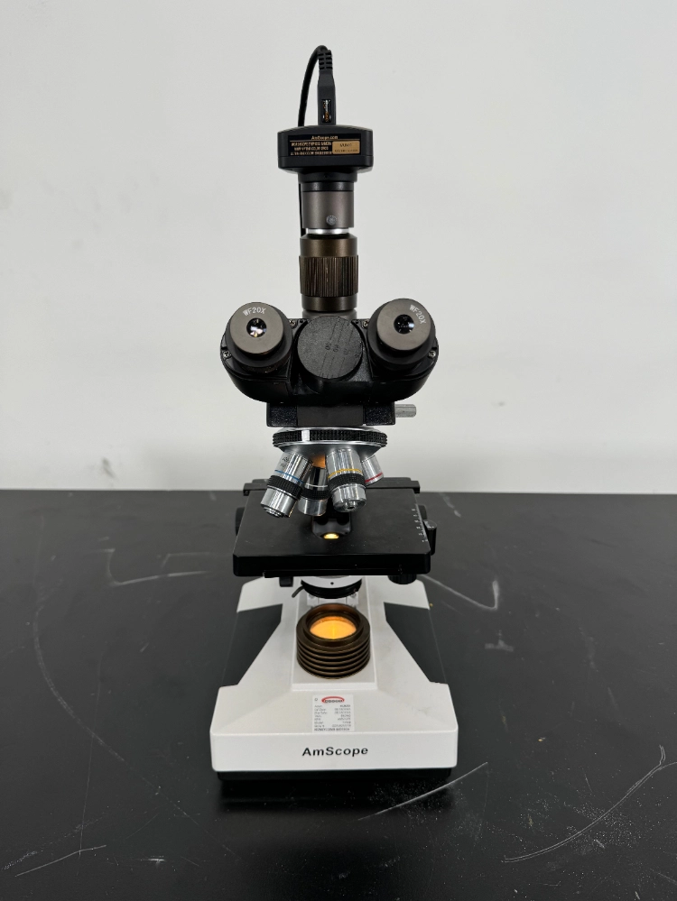 AmScope Microscope