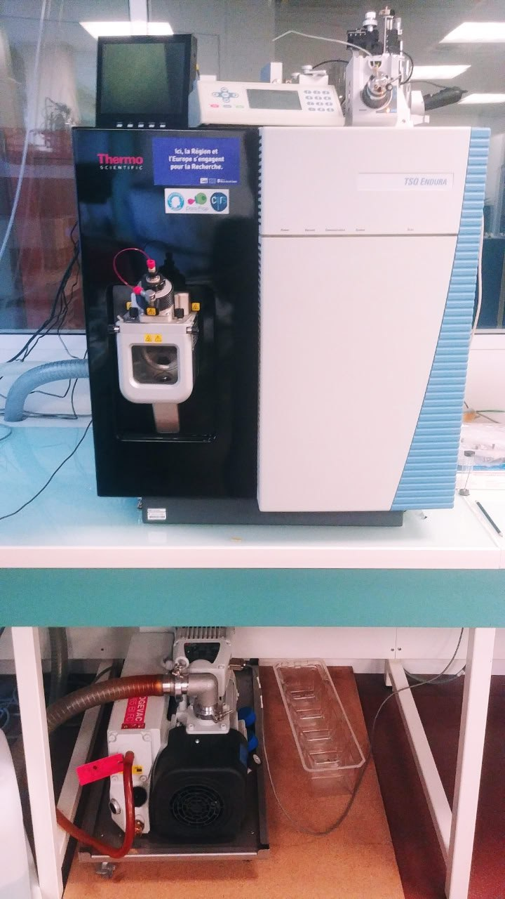 Thermo TSQ Endura Mass Spectrometer