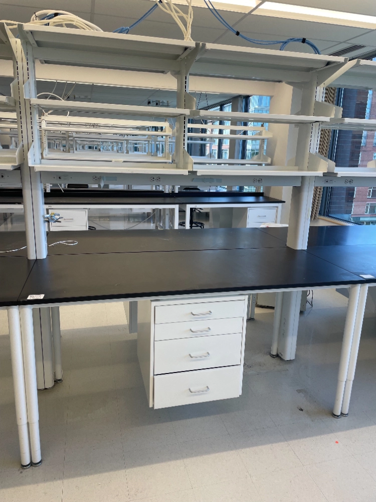 Mott 6' Optima Double-Sided Laboratory Table