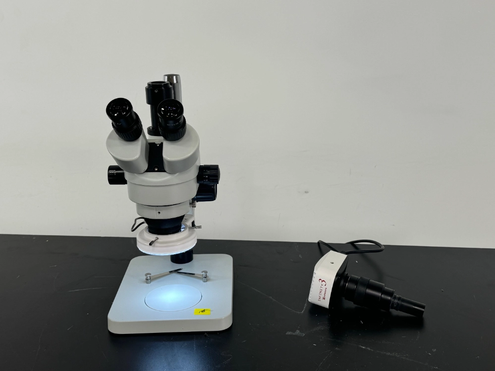 Amscope Infinity 3 Stereo Microscope