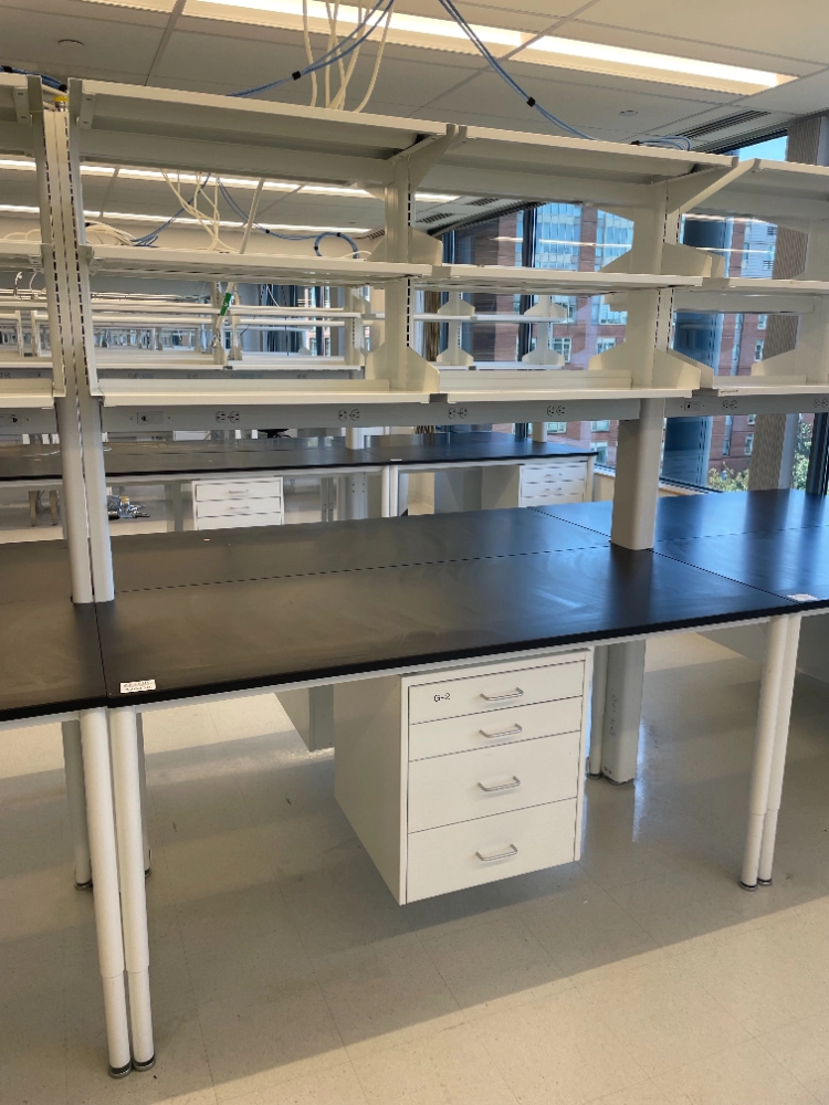 Mott 6' Optima Double-Sided Laboratory Table