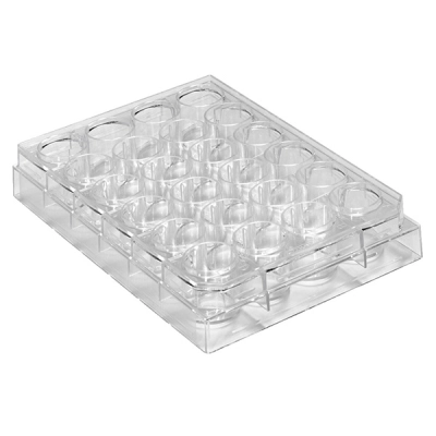 Bellco 24-Well Plates Polystyrene Box Pack, 100/Case 1300-00311