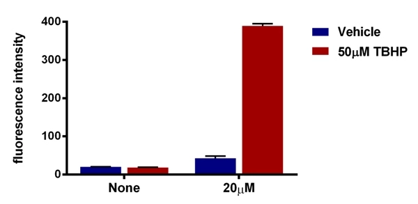 DCFDA / H2DCFDA - Cellular ROS Assay Kit