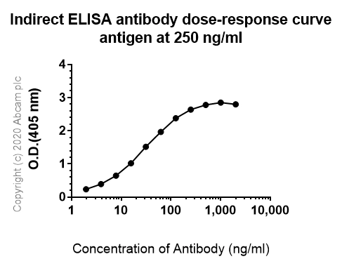 Anti-VCAM1 antibody [EPR5047]