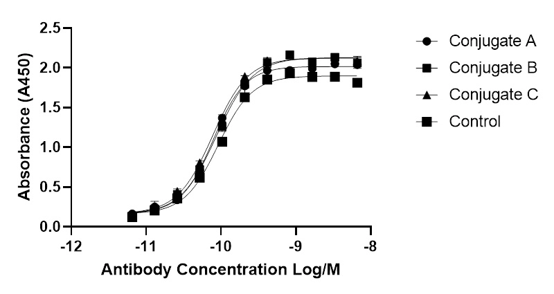 Biotinylation Kit / Biotin Conjugation Kit (Fast, Type A)