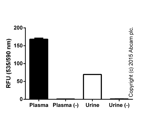 L-Lactate Assay Kit (Colorimetric/Fluorometric)