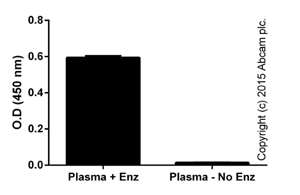 L-Lactate Assay Kit (Colorimetric)