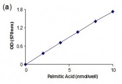 Free Fatty Acid Assay Kit - Quantification