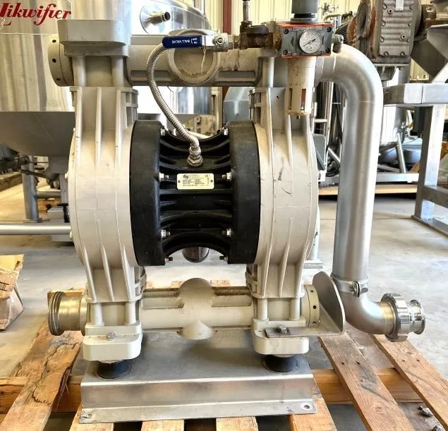 used DEBEM Double Diaphragm Pump type IB503P-H-TPD. Poly construction