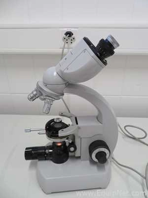 Lot 289 Listing# 782933 Zeiss Binocular Microscope