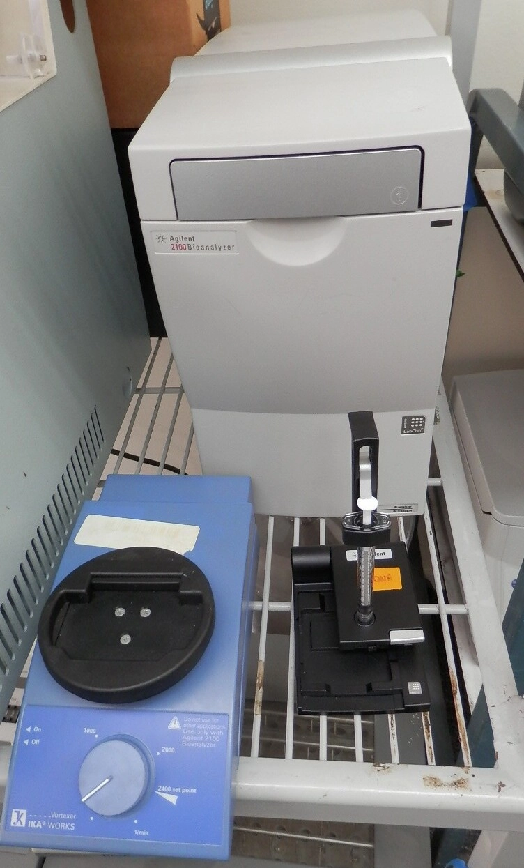 Agilent Bioanalyzer 2100 model #G2938A