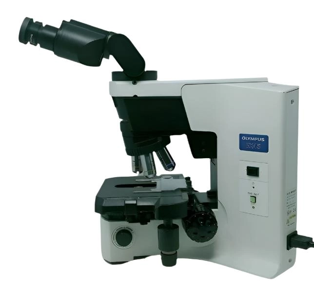 Olympus Microscope BX45 | Cytology | Low Stage