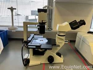 Olympus CKX41SF Inverted Microscope