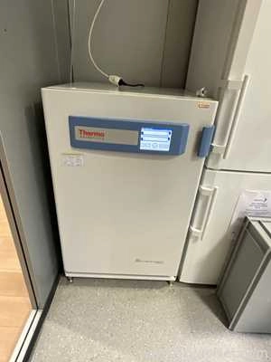 Lot 65 Listing# 781983 Thermo Fisher Scientific 4111 Forma Series 3 Water Jacketed CO2 Incubator