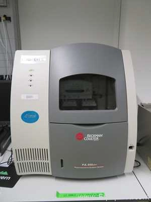 Beckman Coulter PA800 plus Analyser