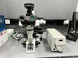 Olympus CKX41 Inverted Microscope