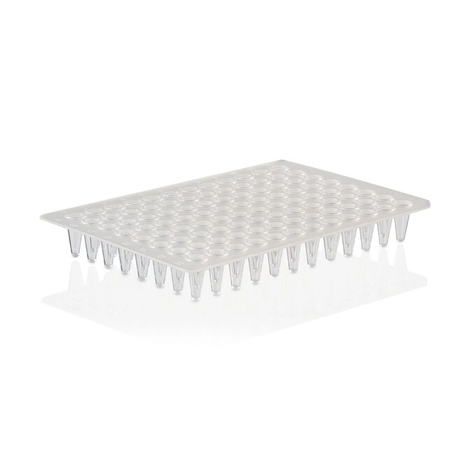 PCR Plate, 96-well, low profile, non-skirted, Sustain Series