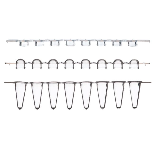 Low Profile Tubes and Domed Caps, strips of 8, Sustain Series