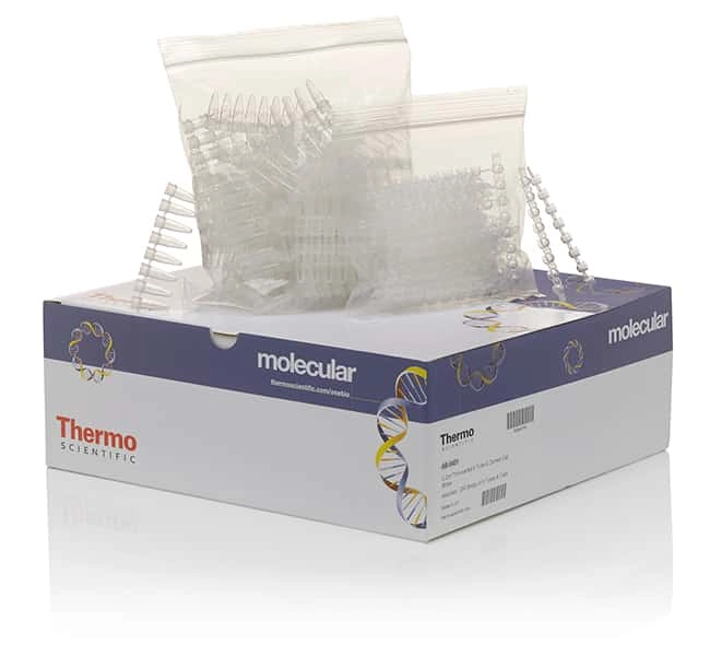 Tubes and Domed Caps, strips of 8, Sustain Series