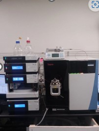 Thermo Fisher Quantiva 2 (TQH-Q1-0272) Mass Spectrometer with UHPLC + focused with ULTIMATE 3000, 2 Pumps