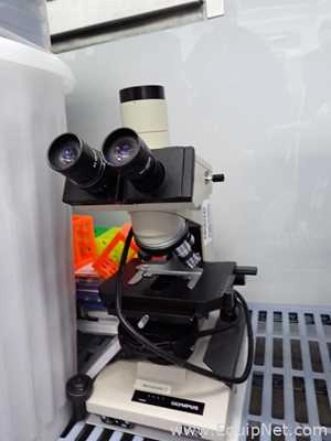 Olympus BH-2 Microscope