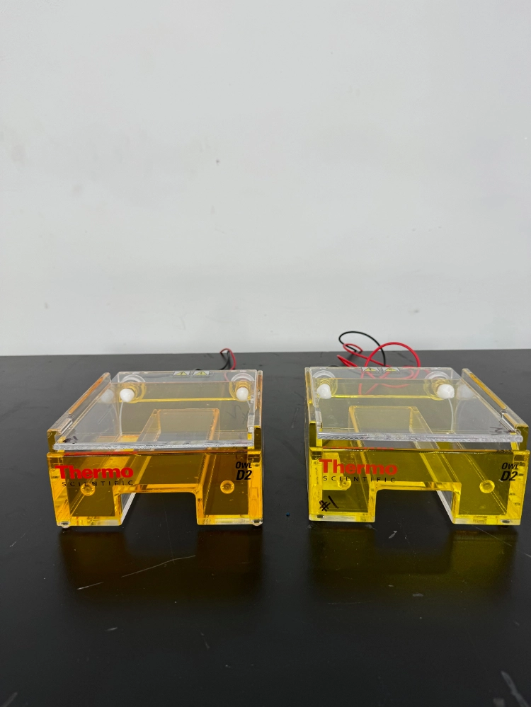 Thermo Scientific Owl D2 Electrophoresis Gel Box