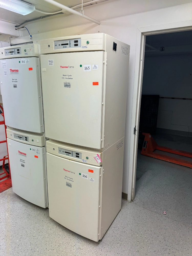 Thermo Electron Steri-Cycle Double Stack CO2 incubator