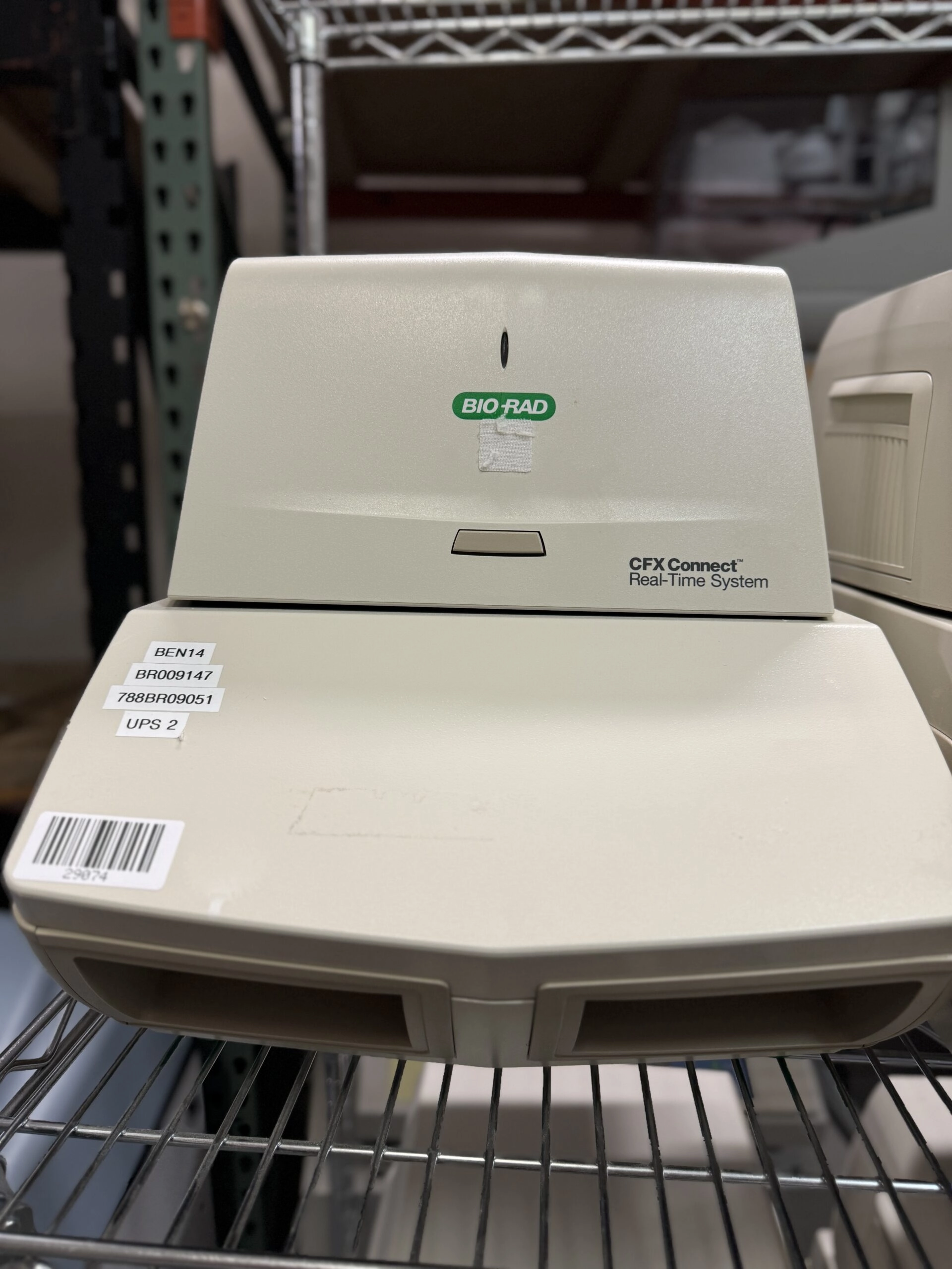 Bio-Rad CFX Connect Real-Time PCR